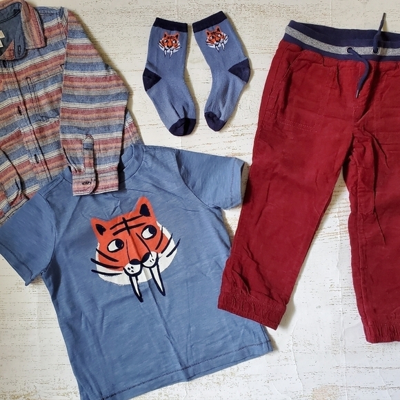 Gymboree Toddler Boy Outfit EUC - Picture 1 of 2